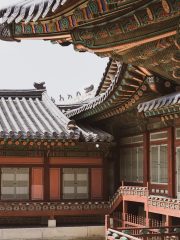 韩国综艺节目封面，户外野外场景，多位嘉宾笑容灿烂，色彩明亮活泼